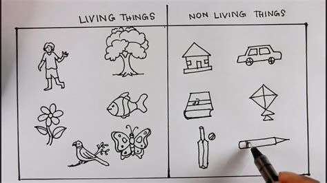 easy drawing living things|How to sketch a living things/easy drawing living things  .